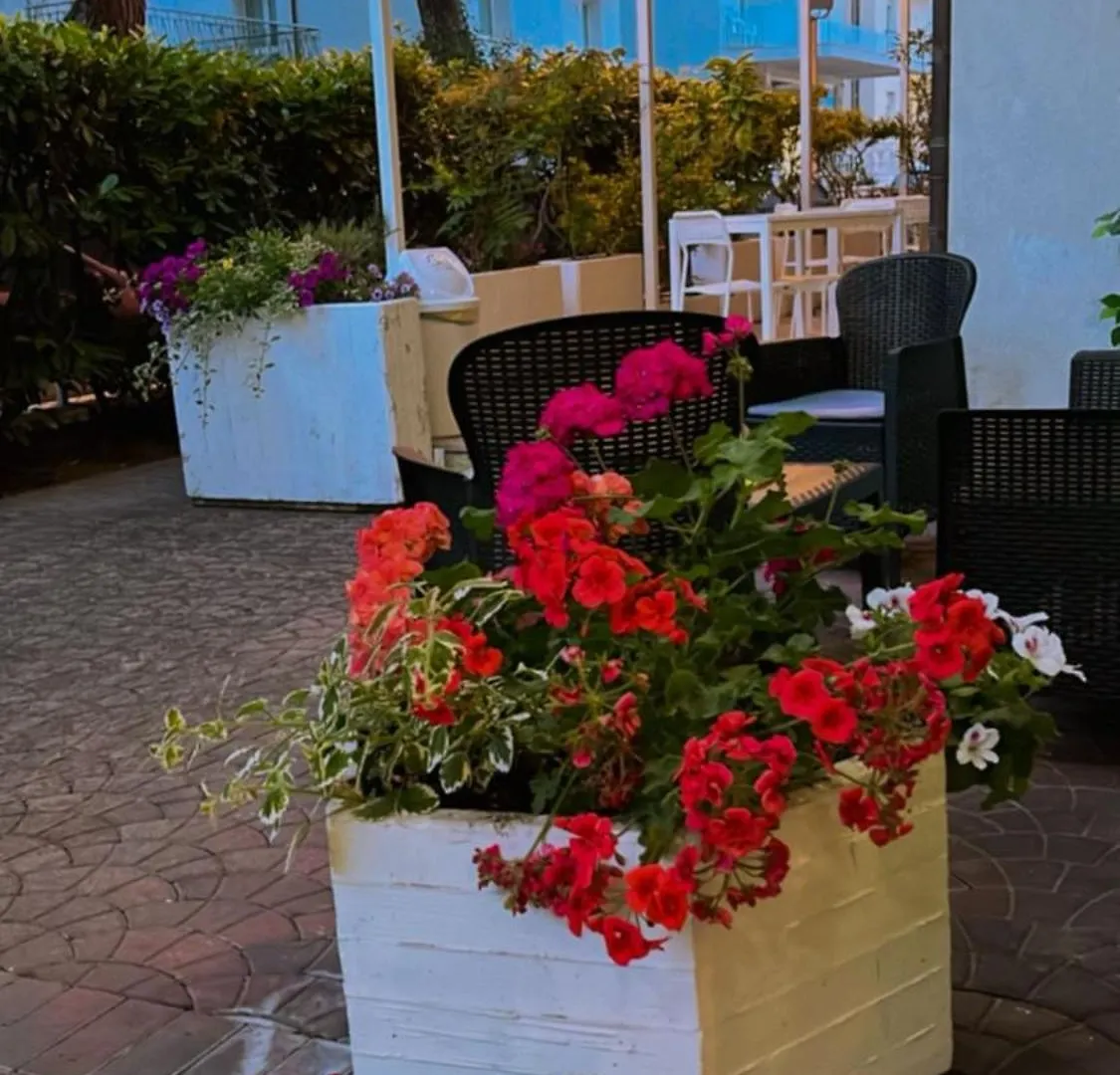 Hotel Dream Rimini
